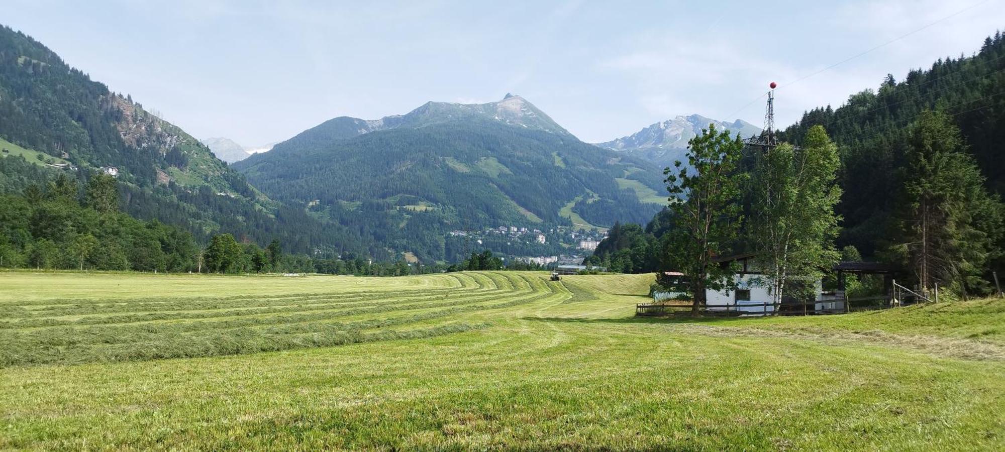 Villa Bio Bauernhof Schweizerhof Bad Hofgastein Esterno foto